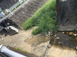 被災者宅周辺の川で見られた川底の亀裂