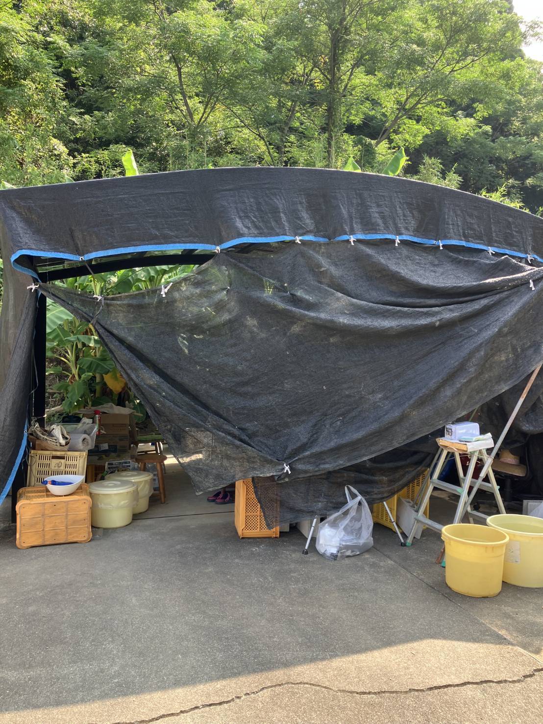 氷川町での軒先避難の様子